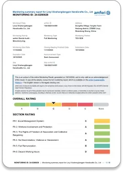 Amfori BSCI 社会责任审核