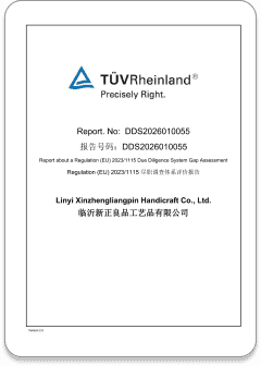 TÜV 莱茵法规评估报告